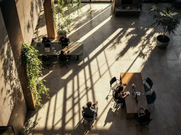 Contact Office